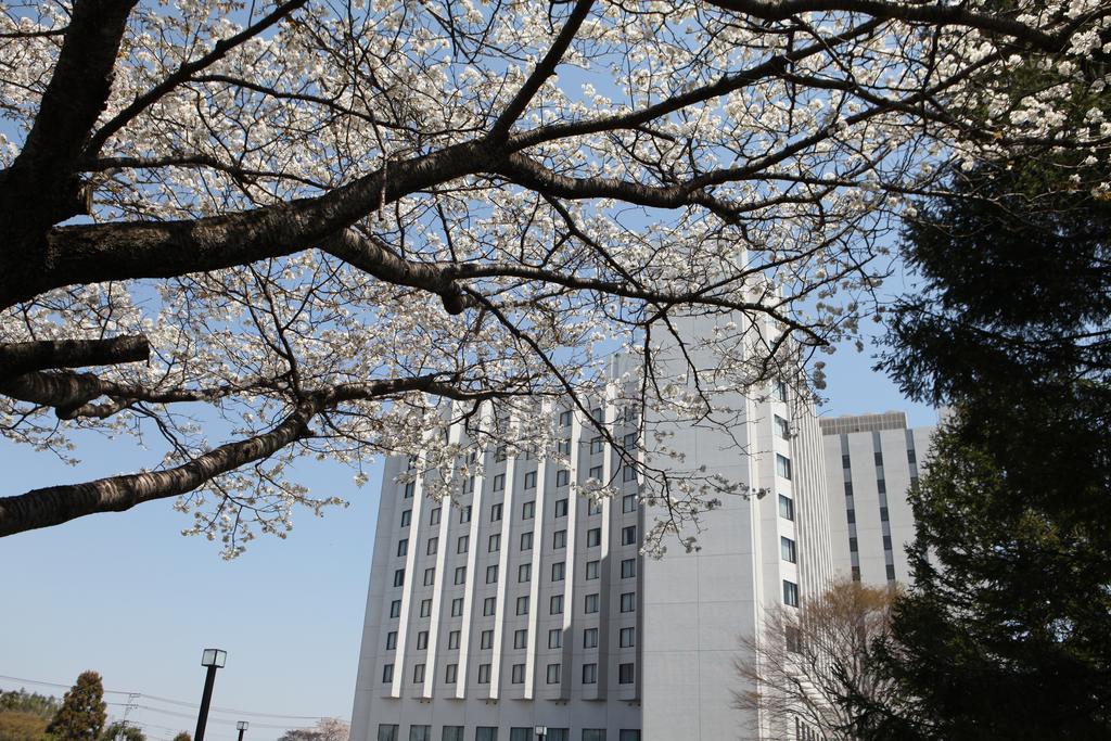 International Resort Hotel Yurakujo 成田 外观 照片